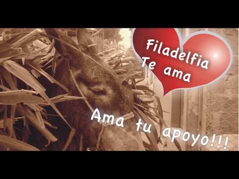 CAMINO A FILADELFIA.  “Filos” que significa “Amor” y “Delfos” “Hermanos” “Amor de Hermanos”