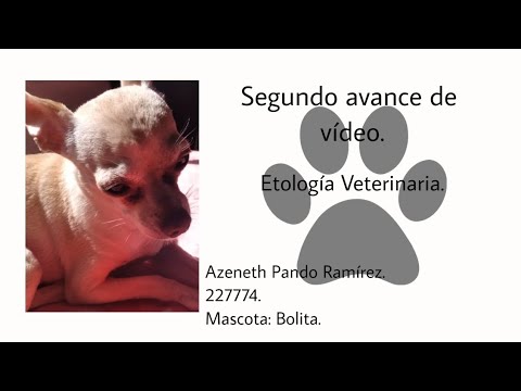 Etología Veterinaria — Segundo avance de video.🐕🌷