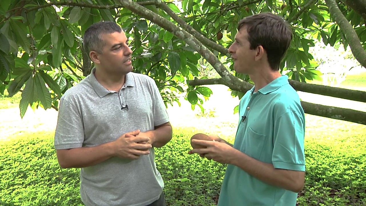 Especiais TV USP - O maravilhoso universo das chamadas "Frutas Raras"