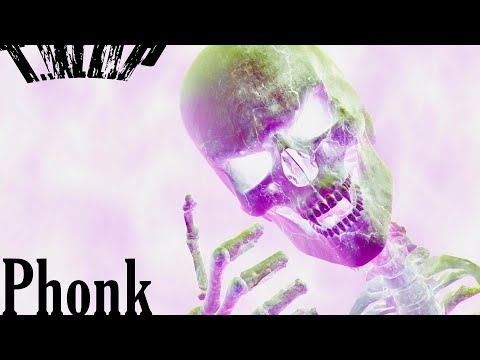 $atori Zoom x NORTMIRAGE - HA!