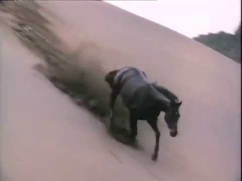 The New Adventures of Black Beauty 1990 Opening Title