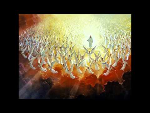 Narrow Road - Lion Of Judah