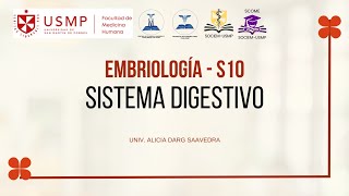Embriología y Genética - Sesión 10 - Sistema digestivo - Alicia Darg - 2025-0