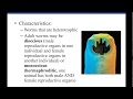 Lab 12 4 Parasitic Helminths