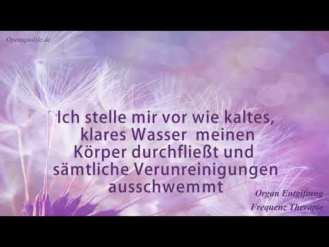 Organ Entgiftung Frequenz Therapie   Reinigung der Leber, Nieren, Lymphe und des Darms