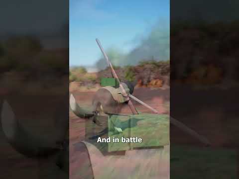 How WWII Used Suicide Dogs 😨