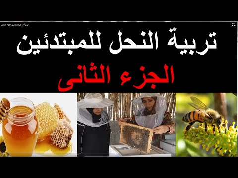 , title : 'تربية النحل للمبتدئين الجزء الثانى'