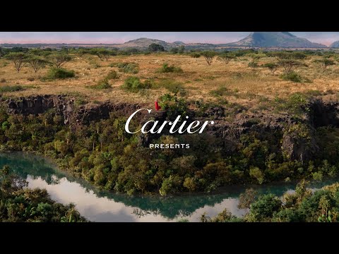 Panthère de Cartier: a new film from the Maison, directed by Nathalie Canguilhem