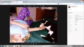 OREO CAT JEDI Kung Fu master