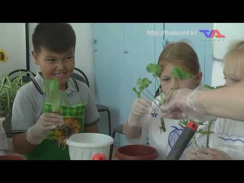 Выпуск программы “День” от 25 сентября 2025г.