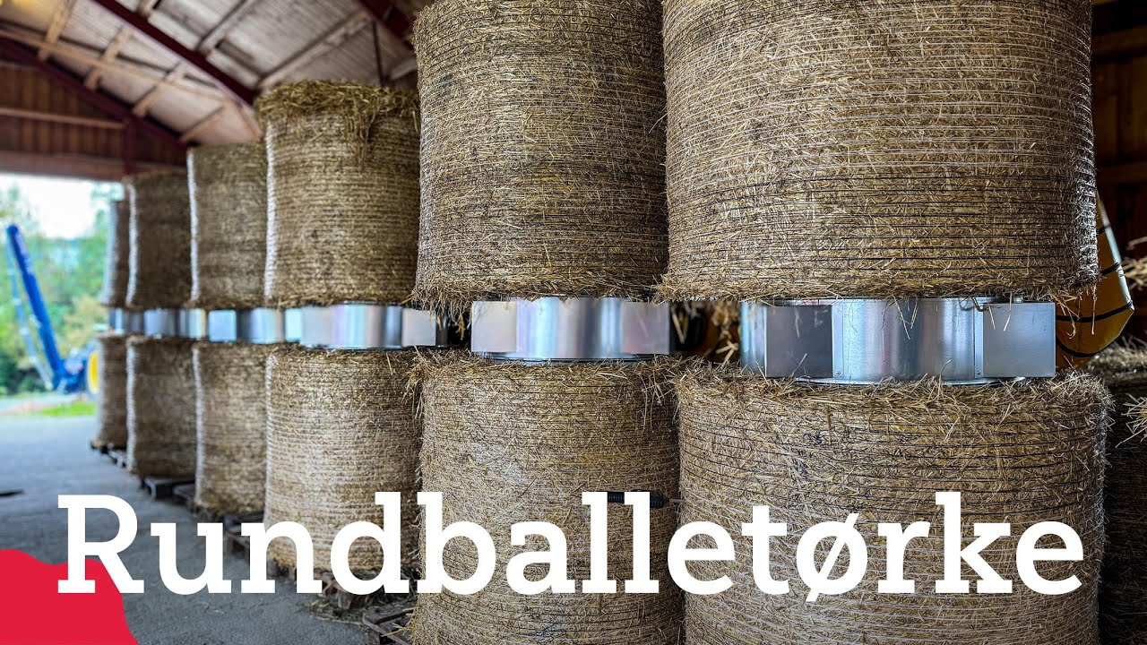 Tørking av rundballer