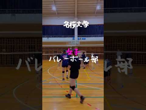名桜大学女子バレーボール部です🏐