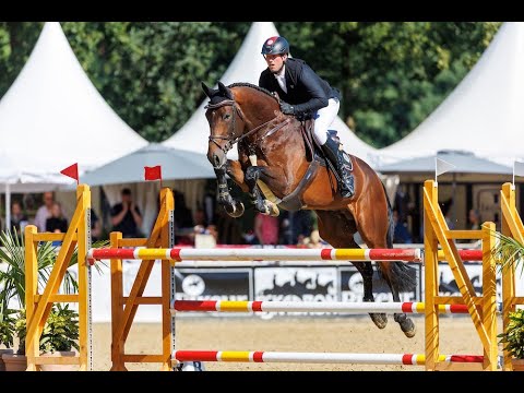 Diamant de Plaisir II *2017 by Diamant de Semilly x For Pleasure