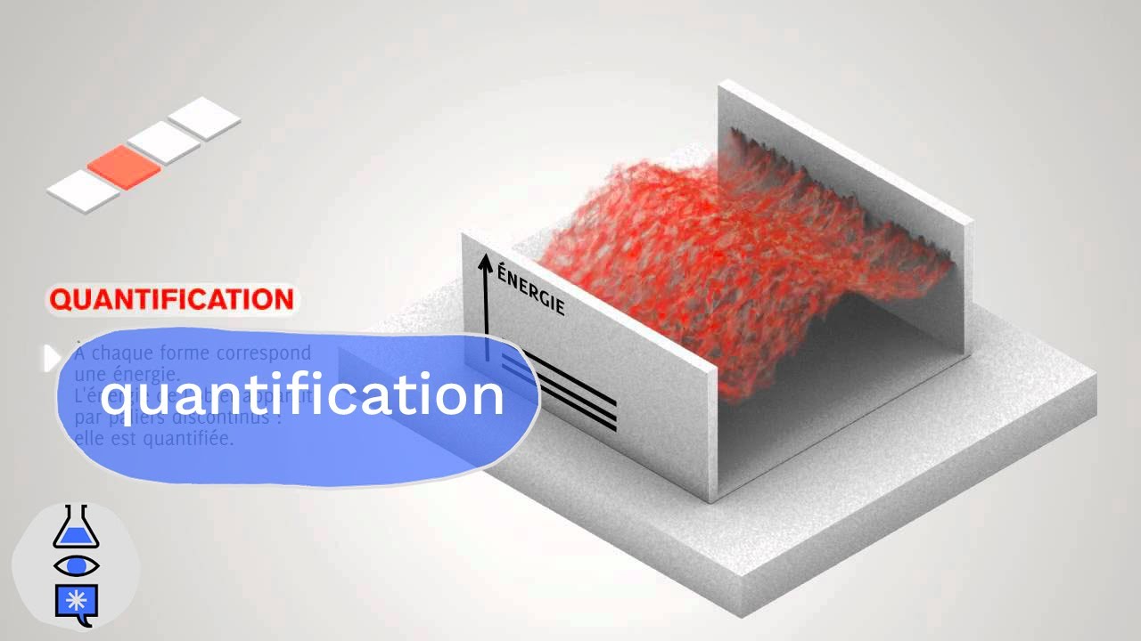 Quantification