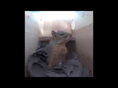 Spring and a Storm ft. Emma