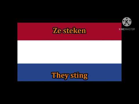 Numa Numa - Dutch version