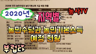 2020년 지역별 농민수당과 농민기본소득 예정 현황 [농사TV]
