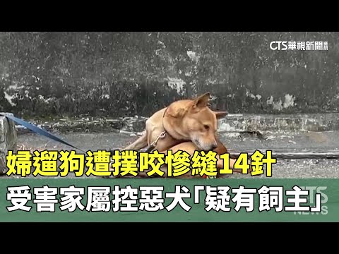 婦遛狗遭撲咬慘縫14針　受害家屬控惡犬「疑有飼主」