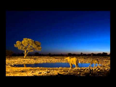 Luca Bacchetti - Night over kwazulu
