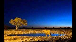 Luca Bacchetti - Night over kwazulu