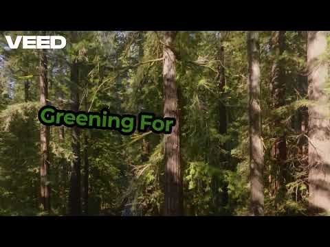 Introduction Of Project Greening For Well Being2/Nisreen Alswaiti/Jordan