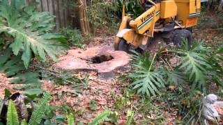 preview picture of video 'Bay St. Louis Stump Grinding'