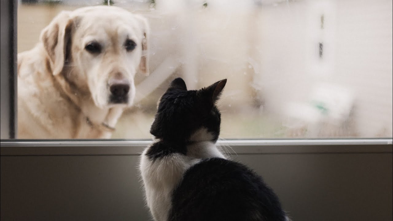 Gilberto Espino G.-52