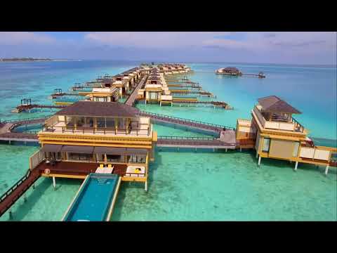 Oneil feat. Aize & Danna Max - Insatiable/TikTok The Music