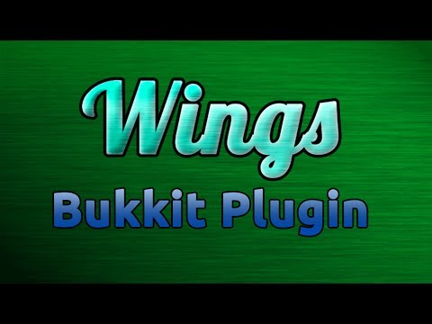 Ultimate Minecraft Wings Plugin by Phildachil!