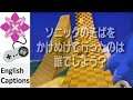 Sonic The Hedgehog 2 (Quiz) Japanese Commercial