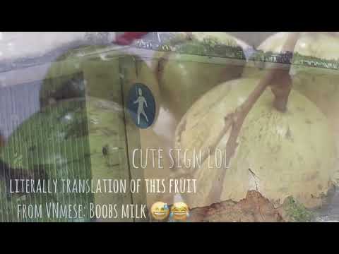 Day 22- The Boobs Milk Fruit?!, Pennywort Drink 🍃