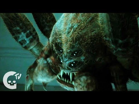 Octophobia | Short Horror Film | Crypt TV