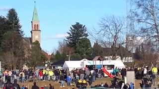 Sånn løper fugla..