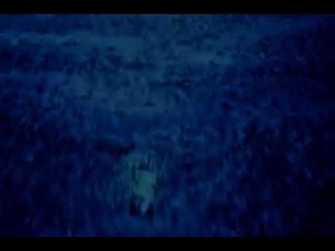 Deep Blue waves - (Michael Brook - Slipstream and Ultramarine)