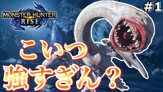 モンハン仲間とワイワイしながら進めるアーカイブまとめ Part1【モンハンライズ/MHR:S】