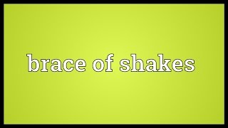 Brace of shakes Meaning