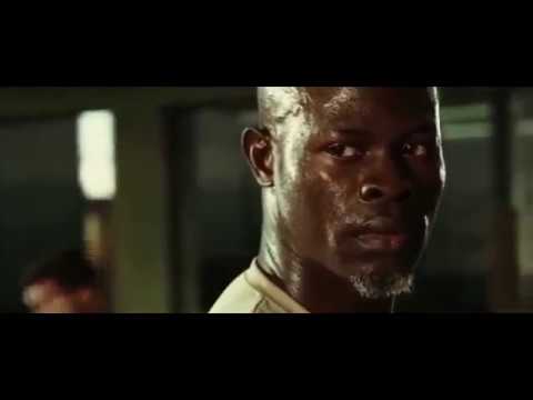 Never Back Down - Stereo Sun | Motivation