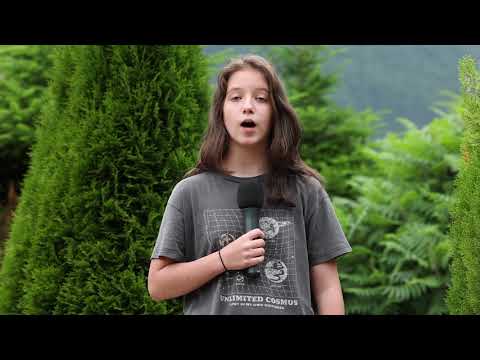 Buletin Meteo Tabăra TV Bușteni - Victoria Bardan