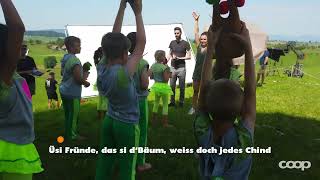 Musik-Video-Miniaturansicht zu Baum im Wind Songtext von Schwiizergoofe