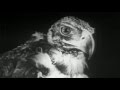 Mother Mooch - My Song 21 