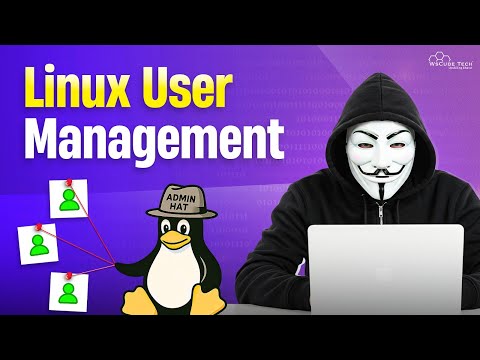 What is Linux Kernel OS Terminal for Beginners