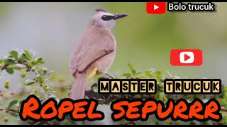 Download lagu BUNYI SUARA TRUCUKAN ROPEL BURAK BARIK BOROK CIKROK mp3