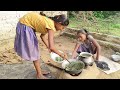 Gaow Me Saj Kase Bante H Saj Recipe Videos Neelam Nigam Vlogs
