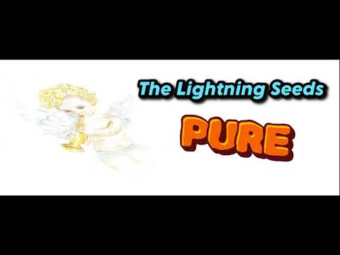 The Lightning Seeds - Pure (Orig. Full Instrumental Unused BV) HD Sound 2024