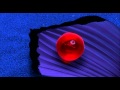 Finding Nemo Title Sequence