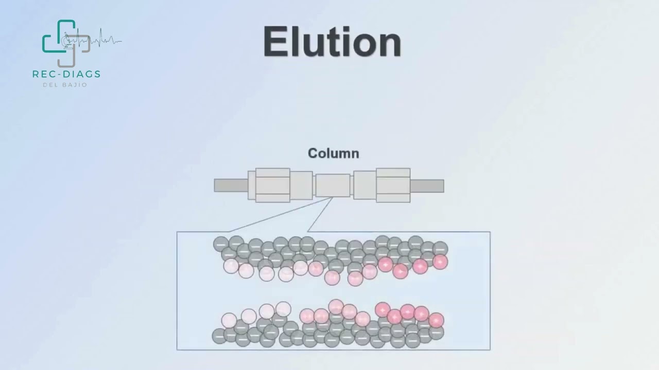 GH 900 PLUS  LIFOTRONIC