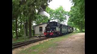 preview picture of video '99 4511 vor Personenzügen von Mesendorf nach Lindenberg (2007)'