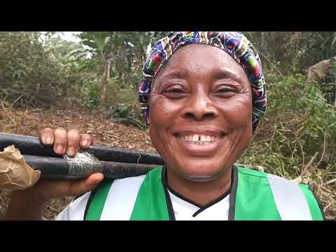 Train 20 youths to heal Cameroon's soil