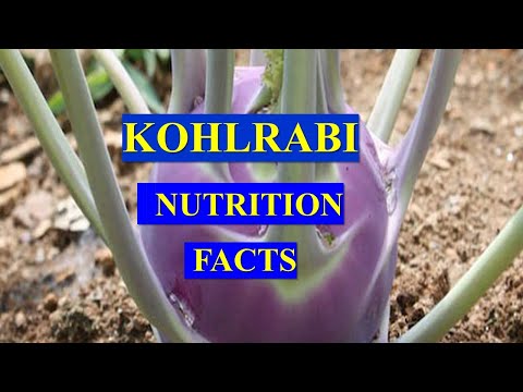 , title : 'KOHLRABI VEGETABLE  - HEALTH BENEFITS AND NUTRIENT FACTS'