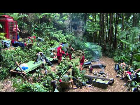How Many Lies Do Men Tell A Year? | I'm A Celebrity Get Me Out Of Here
